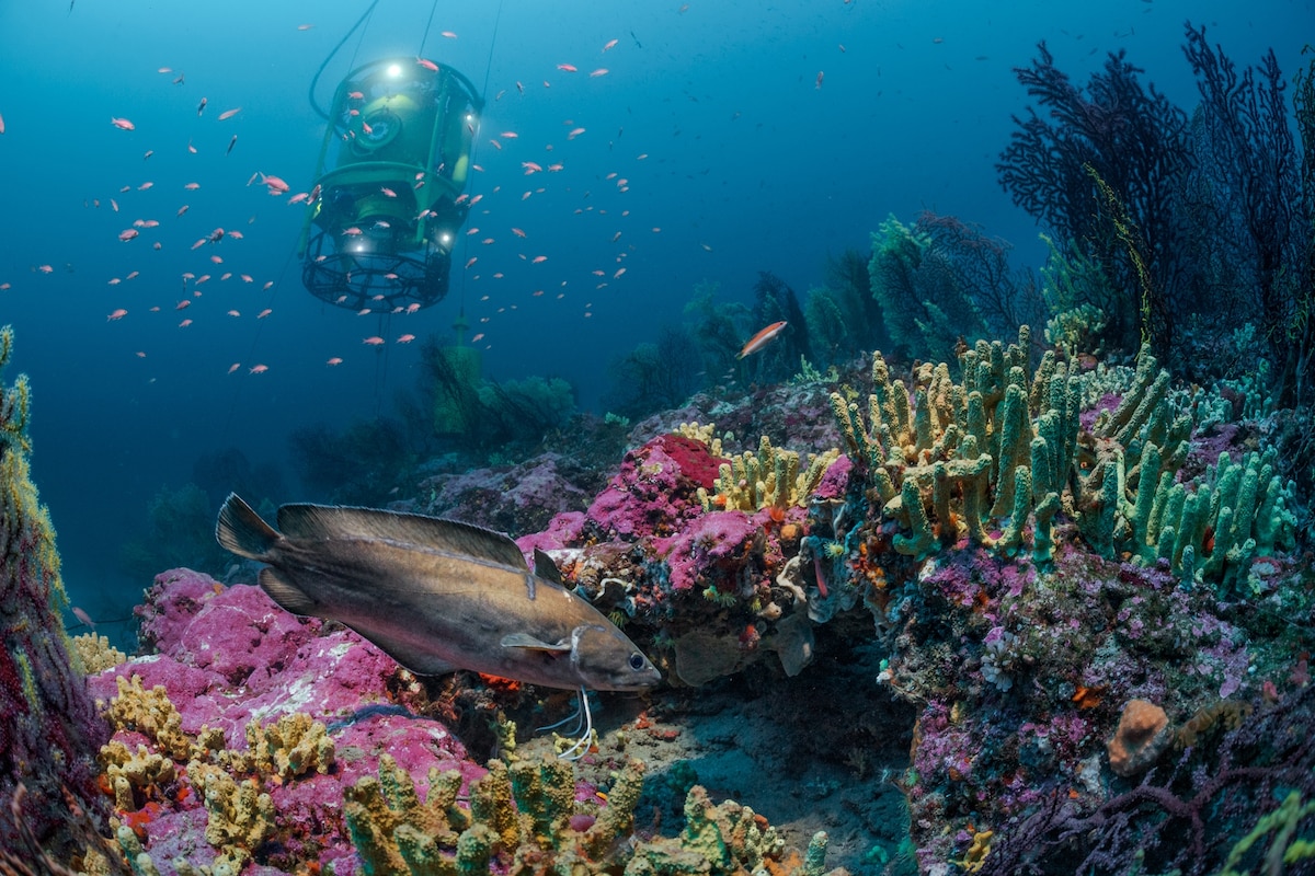 They spent 28 days under the sea—and found another Earth